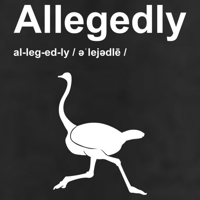 Allegedly Ostrich Funny 25L Jumbo Tote