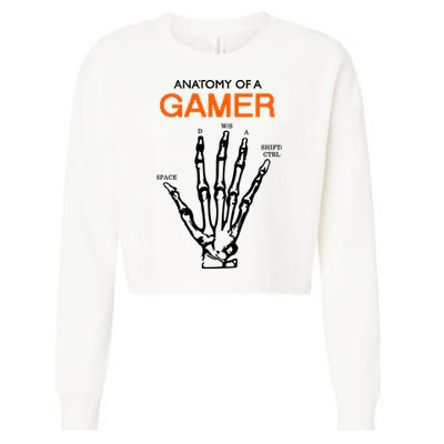 Anatomy Of Gamer Funny Gaming Cropped Pullover Crew
