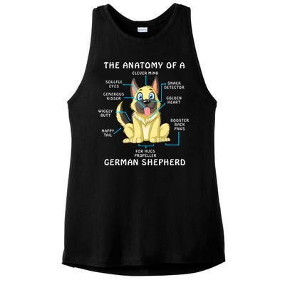 Anatomy Of German Shepherd Ladies PosiCharge Tri-Blend Wicking Tank