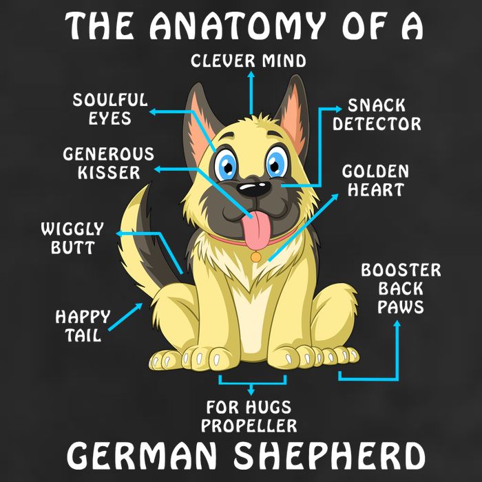 Anatomy Of German Shepherd 7 Panel Mesh Trucker Snapback Hat