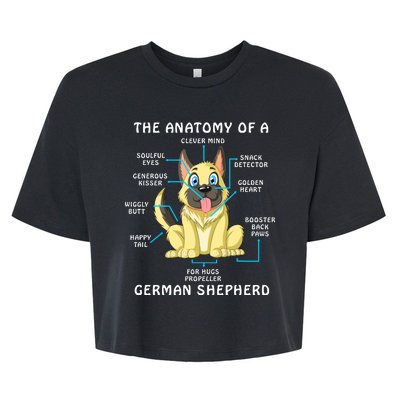 Anatomy Of German Shepherd Bella+Canvas Jersey Crop Tee