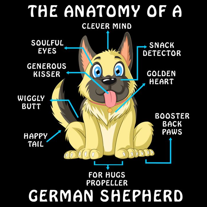 Anatomy Of German Shepherd City Backpack