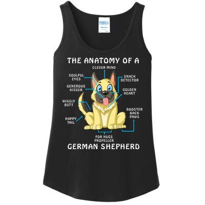 Anatomy Of German Shepherd Ladies Essential Tank