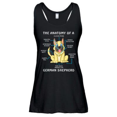 Anatomy Of German Shepherd Ladies Essential Flowy Tank