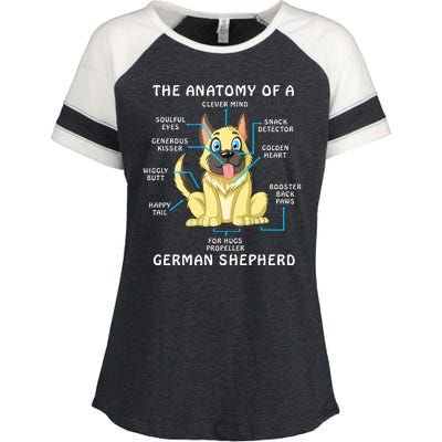 Anatomy Of German Shepherd Enza Ladies Jersey Colorblock Tee