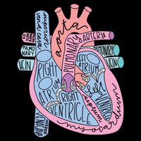 Anatomical Of Heart Cardiac Nurse Practioner Sonographer City Backpack
