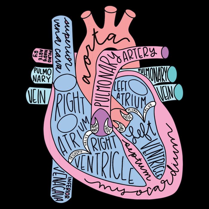 Anatomical Of Heart Cardiac Nurse Practioner Sonographer City Backpack