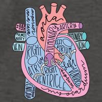 Anatomical Of Heart Cardiac Nurse Practioner Sonographer Vector Backpack