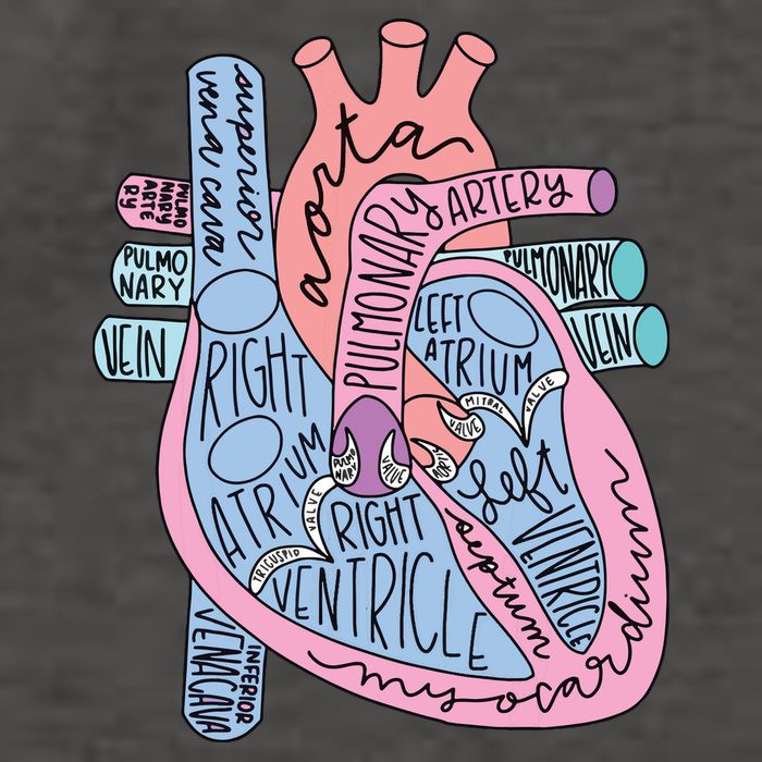 Anatomical Of Heart Cardiac Nurse Practioner Sonographer Vector Backpack