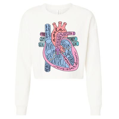Anatomical Of Heart Cardiac Nurse Practioner Sonographer Cropped Pullover Crew