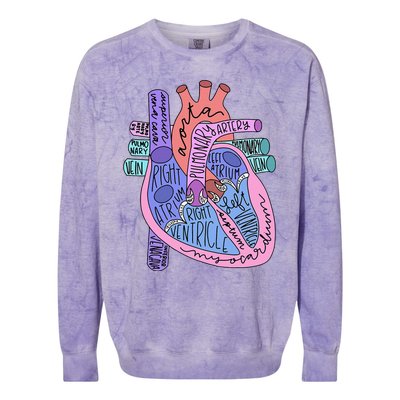 Anatomical Of Heart Cardiac Nurse Practioner Sonographer Colorblast Crewneck Sweatshirt