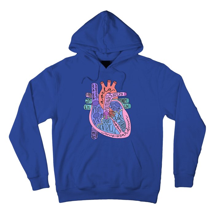 Anatomical Of Heart Cardiac Nurse Practioner Sonographer Hoodie