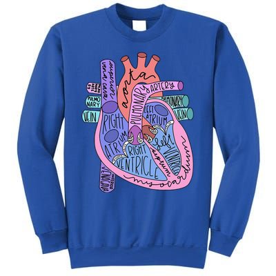 Anatomical Of Heart Cardiac Nurse Practioner Sonographer Sweatshirt