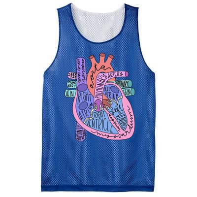 Anatomical Of Heart Cardiac Nurse Practioner Sonographer Mesh Reversible Basketball Jersey Tank