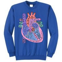 Anatomical Of Heart Cardiac Nurse Practioner Sonographer Tall Sweatshirt