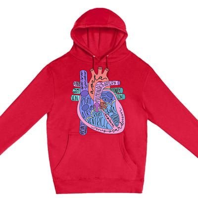 Anatomical Of Heart Cardiac Nurse Practioner Sonographer Premium Pullover Hoodie