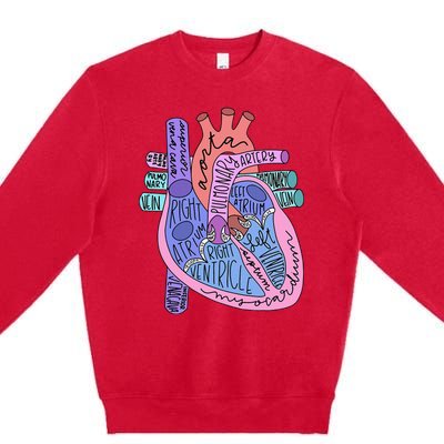 Anatomical Of Heart Cardiac Nurse Practioner Sonographer Premium Crewneck Sweatshirt