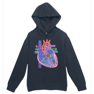 Anatomical Of Heart Cardiac Nurse Practioner Sonographer Urban Pullover Hoodie