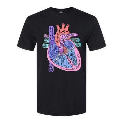 Anatomical Of Heart Cardiac Nurse Practioner Sonographer Softstyle CVC T-Shirt