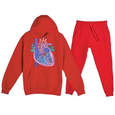 Anatomical Of Heart Cardiac Nurse Practioner Sonographer Premium Hooded Sweatsuit Set