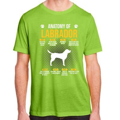 Anatomy Of Labrador Dog Lover Cool Gift Adult ChromaSoft Performance T-Shirt