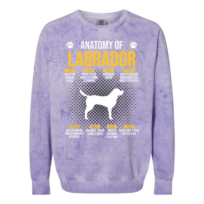 Anatomy Of Labrador Dog Lover Cool Gift Colorblast Crewneck Sweatshirt