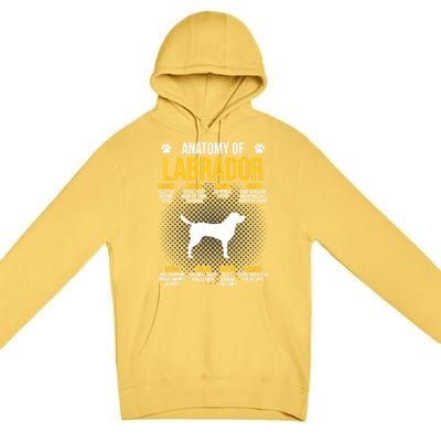 Anatomy Of Labrador Dog Lover Cool Gift Premium Pullover Hoodie