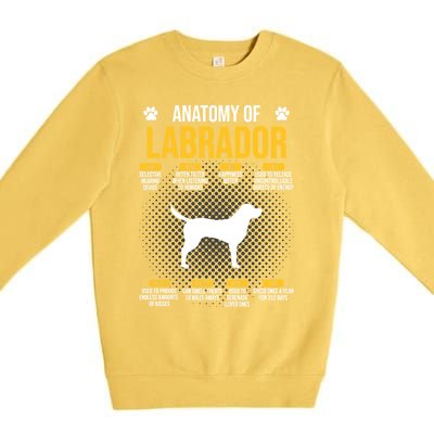 Anatomy Of Labrador Dog Lover Cool Gift Premium Crewneck Sweatshirt