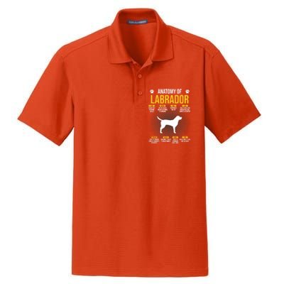 Anatomy Of Labrador Dog Lover Cool Gift Dry Zone Grid Polo