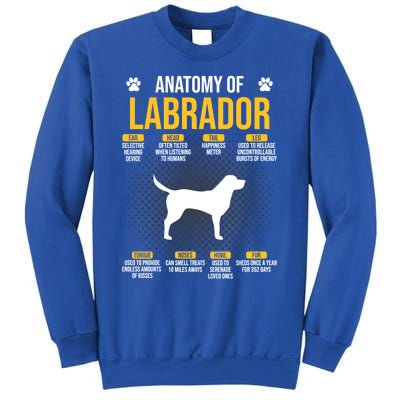 Anatomy Of Labrador Dog Lover Cool Gift Sweatshirt