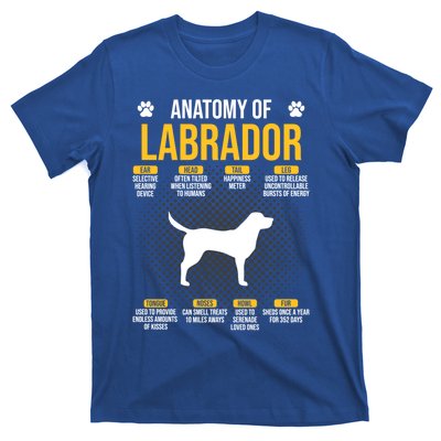 Anatomy Of Labrador Dog Lover Cool Gift T-Shirt