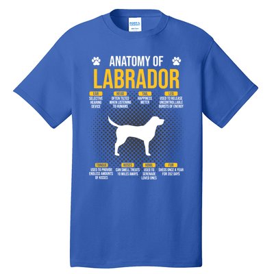 Anatomy Of Labrador Dog Lover Cool Gift Tall T-Shirt