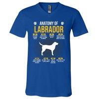 Anatomy Of Labrador Dog Lover Cool Gift V-Neck T-Shirt