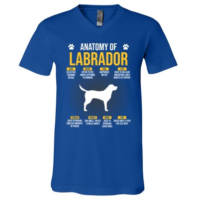 Anatomy Of Labrador Dog Lover Cool Gift V-Neck T-Shirt