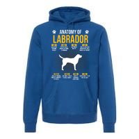 Anatomy Of Labrador Dog Lover Cool Gift Premium Hoodie