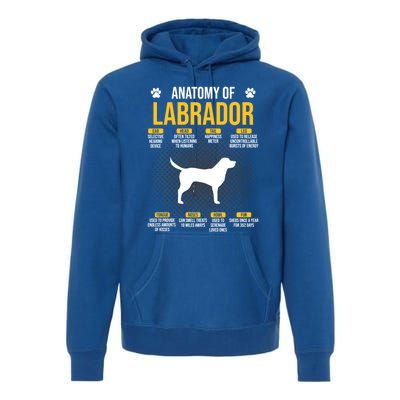 Anatomy Of Labrador Dog Lover Cool Gift Premium Hoodie