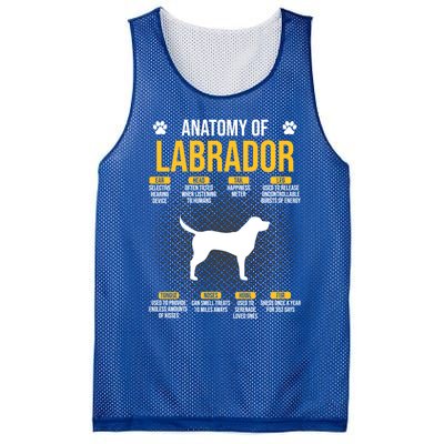 Anatomy Of Labrador Dog Lover Cool Gift Mesh Reversible Basketball Jersey Tank