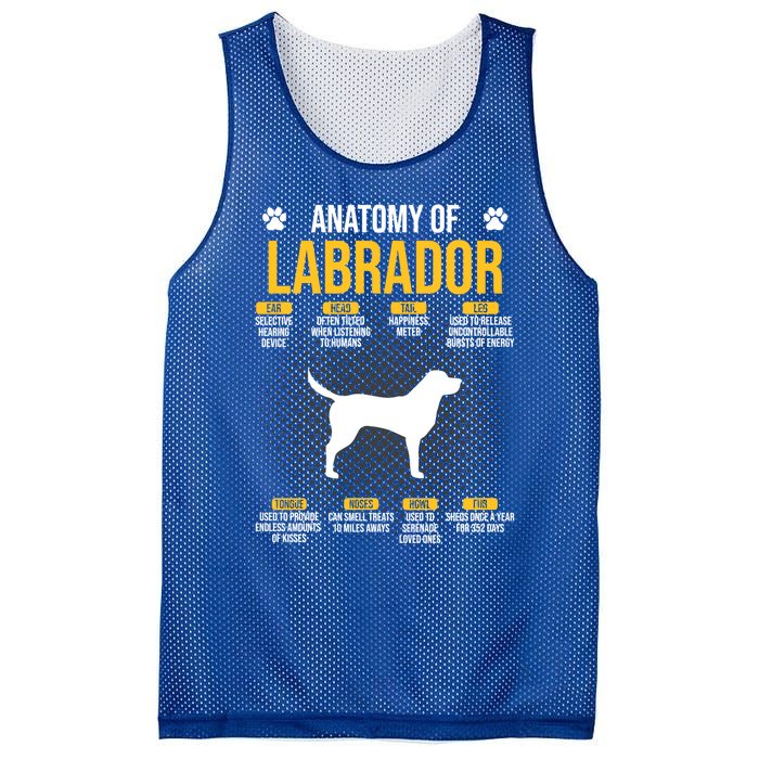 Anatomy Of Labrador Dog Lover Cool Gift Mesh Reversible Basketball Jersey Tank