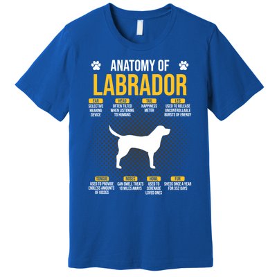 Anatomy Of Labrador Dog Lover Cool Gift Premium T-Shirt