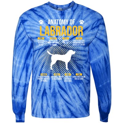 Anatomy Of Labrador Dog Lover Cool Gift Tie-Dye Long Sleeve Shirt