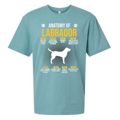 Anatomy Of Labrador Dog Lover Cool Gift Sueded Cloud Jersey T-Shirt