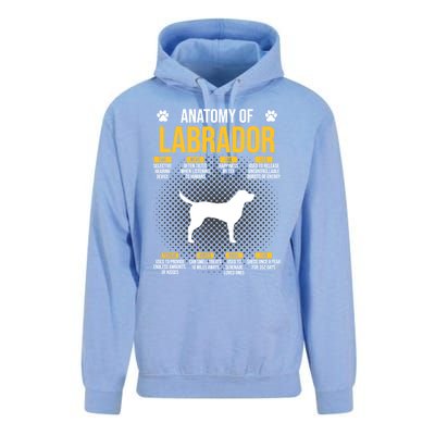 Anatomy Of Labrador Dog Lover Cool Gift Unisex Surf Hoodie