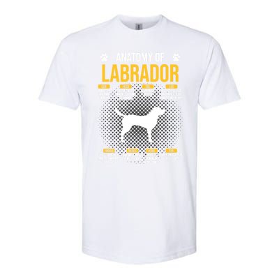 Anatomy Of Labrador Dog Lover Cool Gift Softstyle CVC T-Shirt