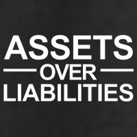 Assets Over Liabilities Accountant Inspirational Success Gift Cool Comfort Performance Bucket Hat