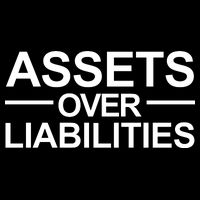 Assets Over Liabilities Accountant Inspirational Success Gift Flexfit Unipanel Trucker Cap