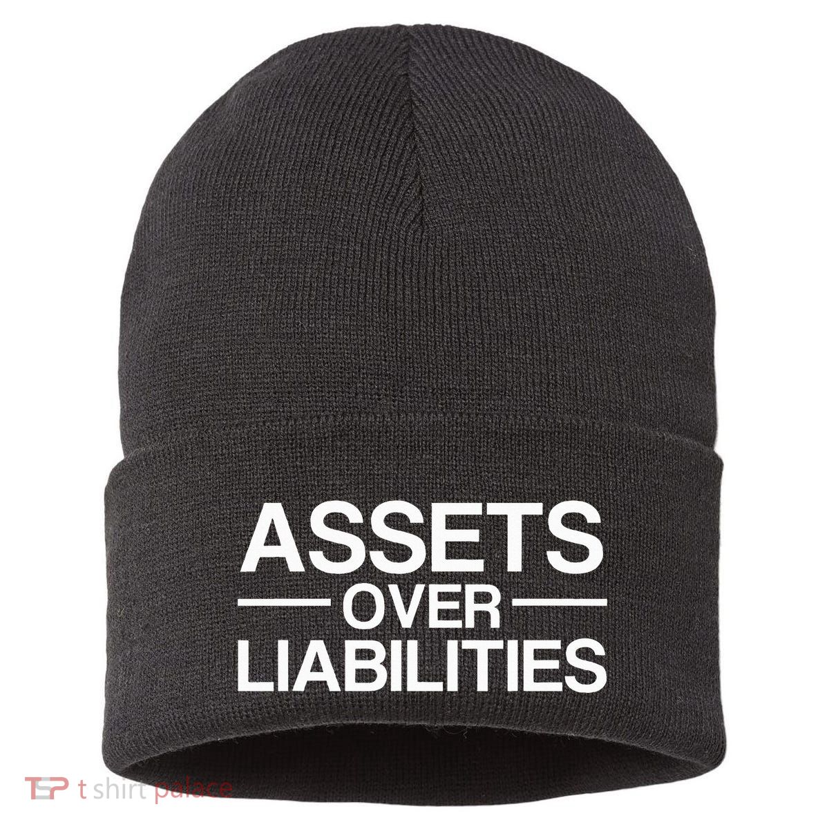 Assets Over Liabilities Accountant Sustainable Knit Beanie