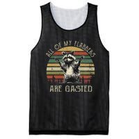 All Of My Flabbers Are Gasted Raccoon Meme Vintage Retro Mesh Reversible Basketball Jersey Tank