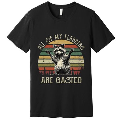 All Of My Flabbers Are Gasted Raccoon Meme Vintage Retro Premium T-Shirt