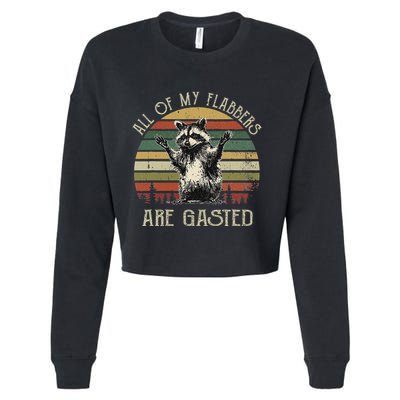 All Of My Flabbers Are Gasted Raccoon Meme Vintage Retro Cropped Pullover Crew