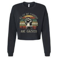 All Of My Flabbers Are Gasted Raccoon Meme Vintage Retro Cropped Pullover Crew